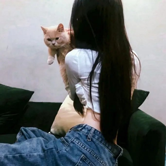 单身男女国语